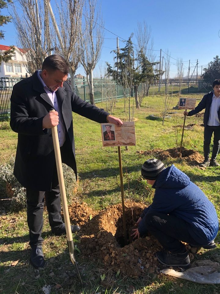 torzhestvennaya linejka posvyashjonnaya akcii Derevo imeni 01