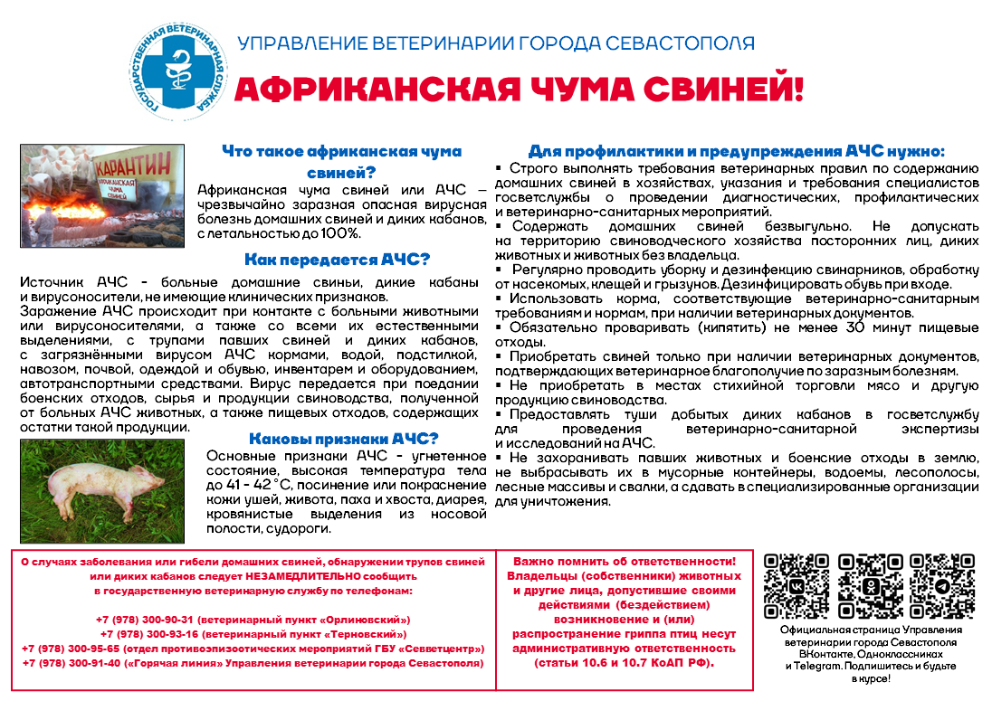 АЧС