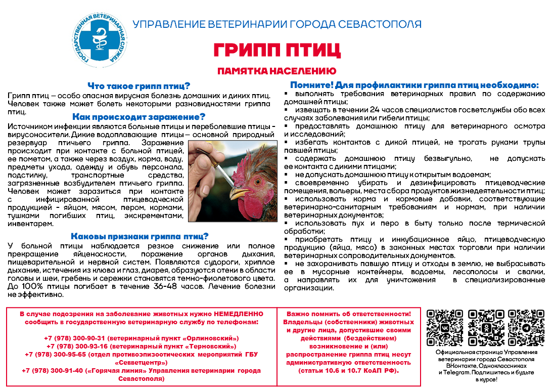 Грипп_птиц