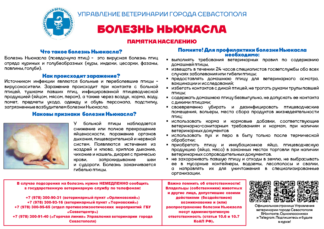 Ньюкасла